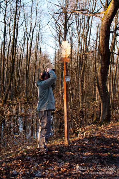 069_Biebrza - kwiecien 2013.jpg
